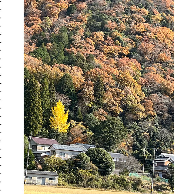 cotaさんの部屋