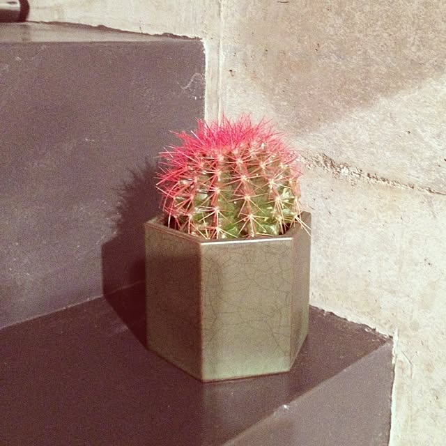 yoshi0622さんの実例写真