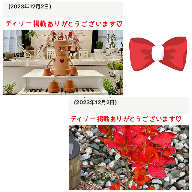 miyuさんの実例写真