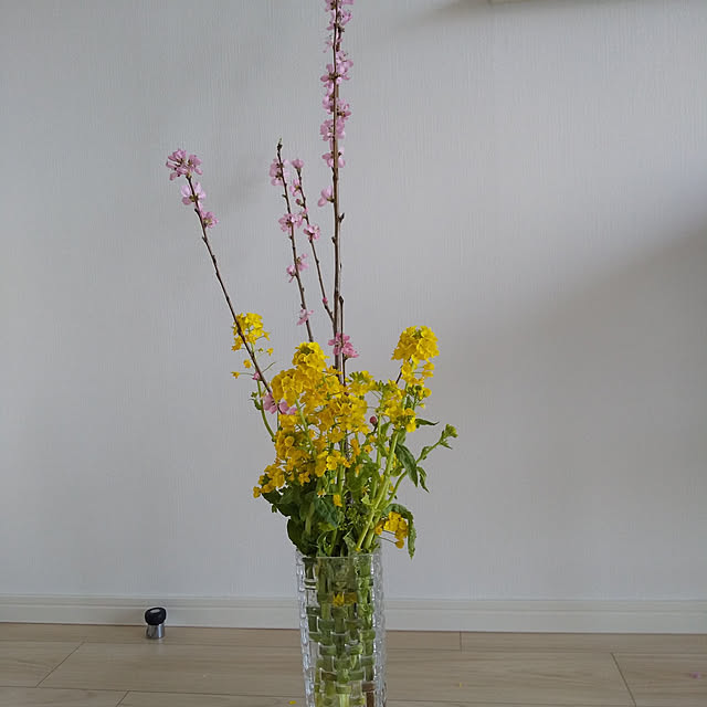 花瓶 ナハトマンのおすすめ商品とおしゃれな実例 | RoomClip 花瓶 ナハトマンのおすすめ商品とおしゃれな実例 | RoomClip