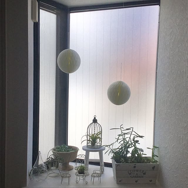 実例写真