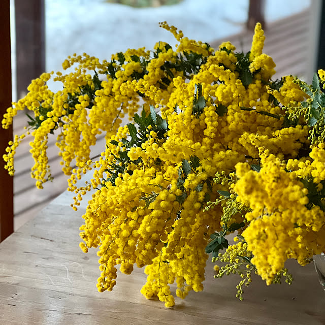 Kikko.さんの部屋