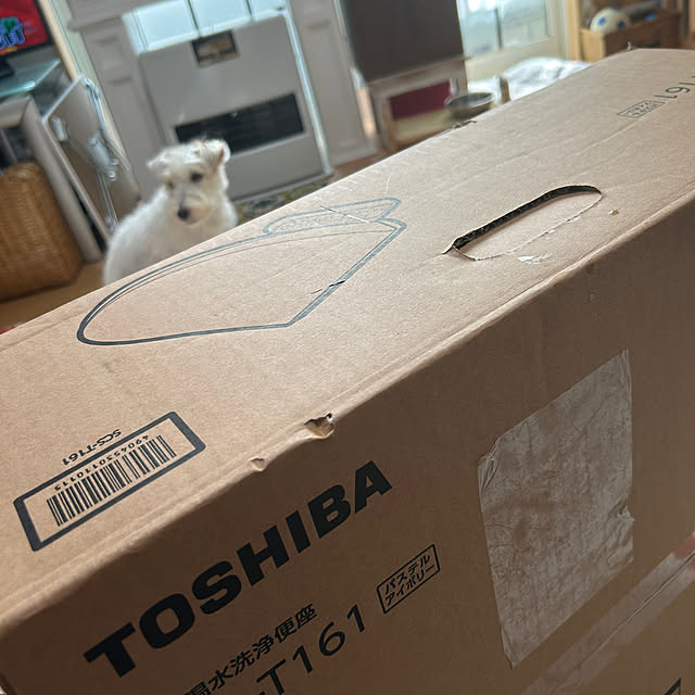 Fumiさんの部屋