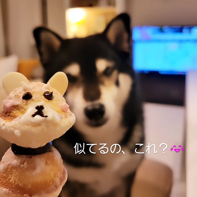 lovesspongebobさんの部屋