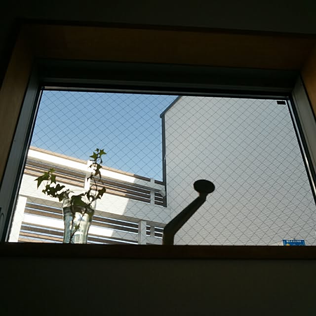 reiさんの実例写真