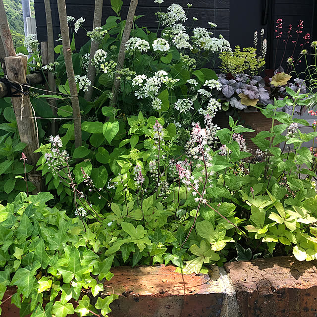 hanaさんの部屋