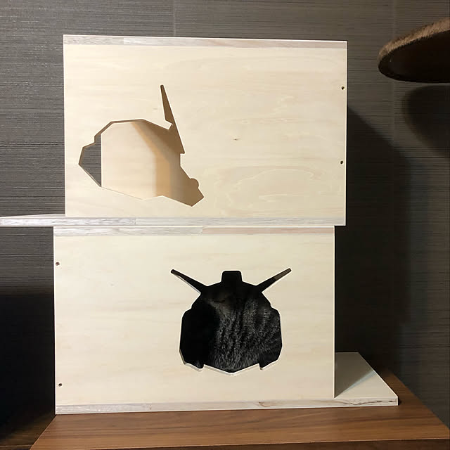 softさんの実例写真