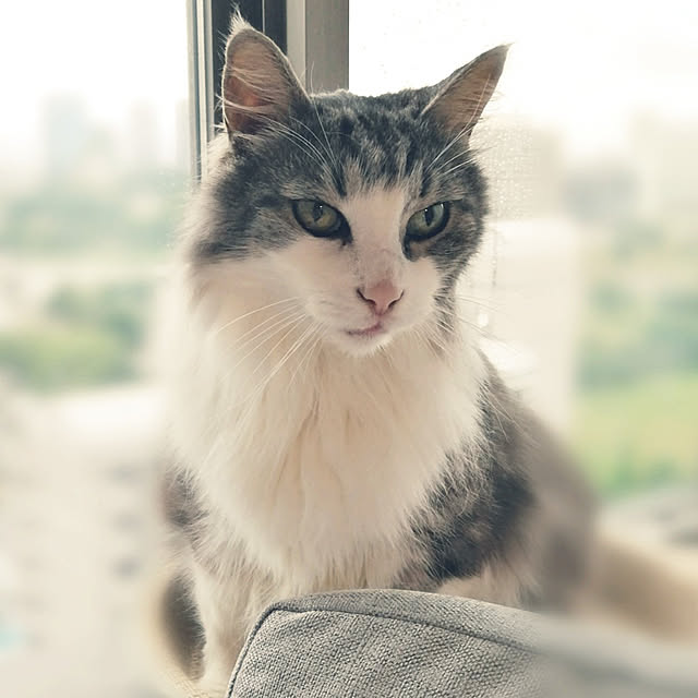 ponさんの実例写真