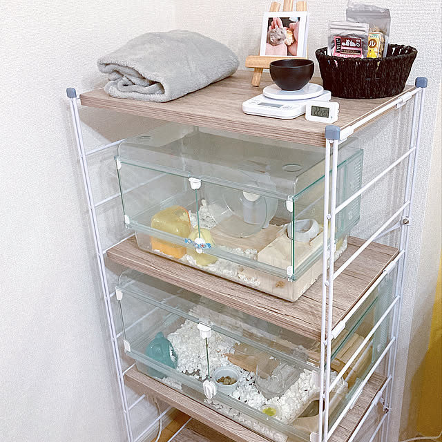 グラスハーモニーのおすすめ商品とおしゃれな実例 | RoomClip グラスハーモニーのおすすめ商品とおしゃれな実例 | RoomClip