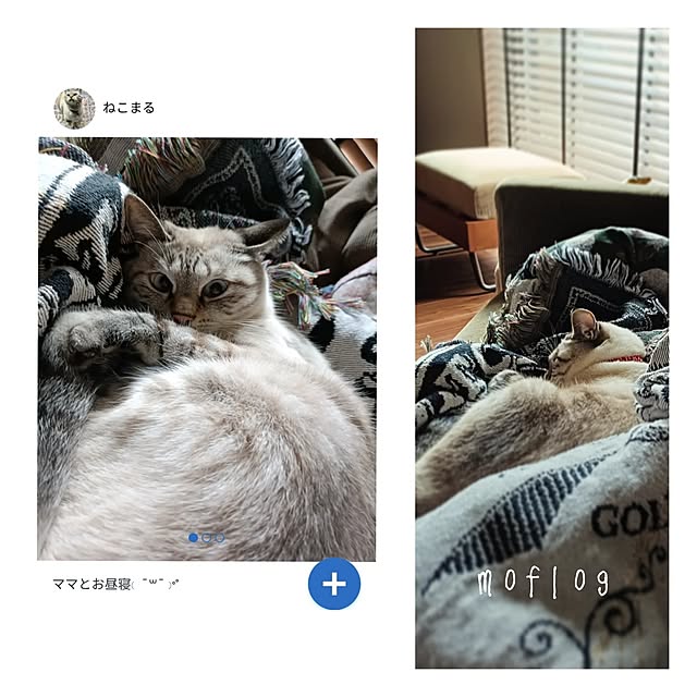 Atelier_tamakiさんの実例写真