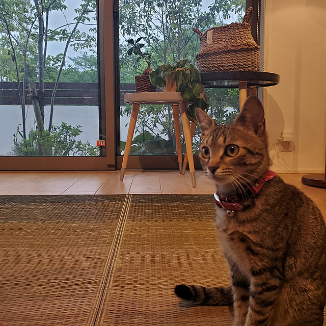 Saranさんの実例写真
