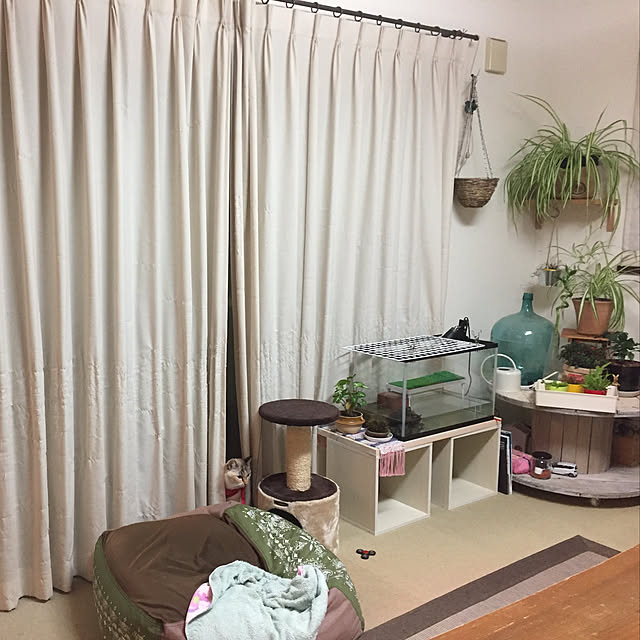 nanaさんの実例写真