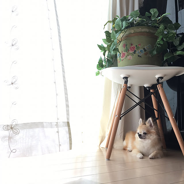 konomi513さんの実例写真