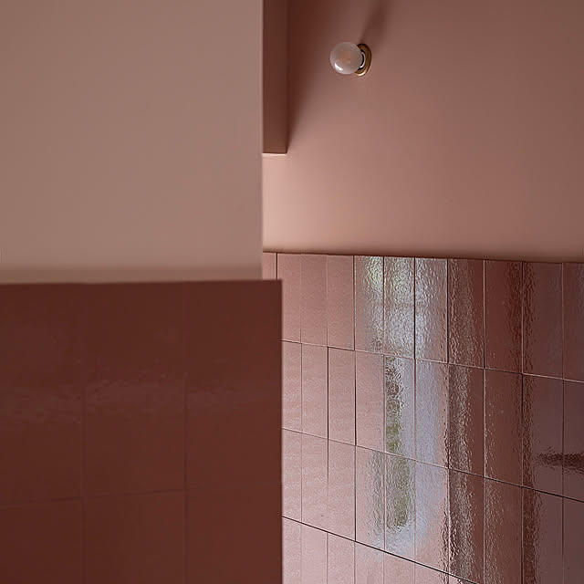 koiwaiさんの実例写真