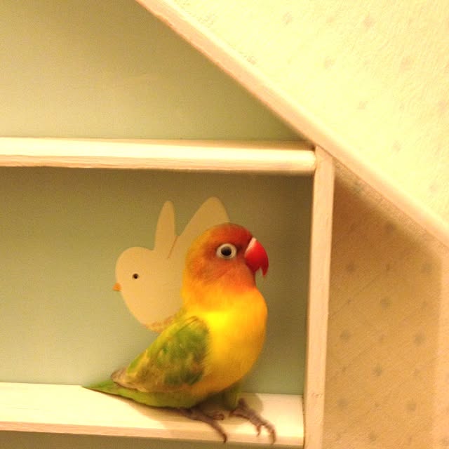 rima29さんの実例写真