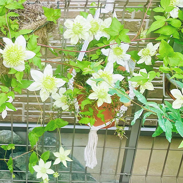 mo-nosukeさんの部屋
