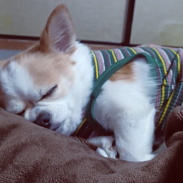 hiro.904さんの実例写真