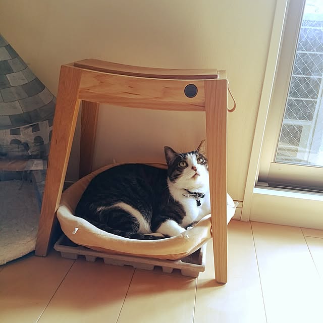 6catsさんの実例写真