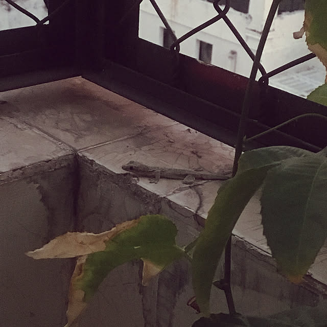sasaさんの実例写真