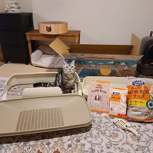 lovepeaceさんの実例写真