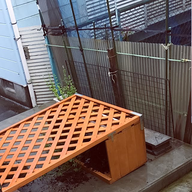 koyoさんの実例写真