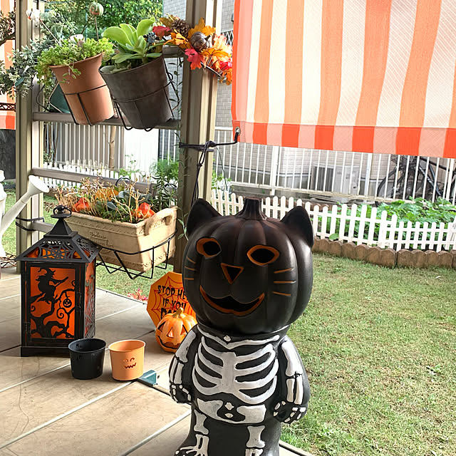 kittyさんの実例写真