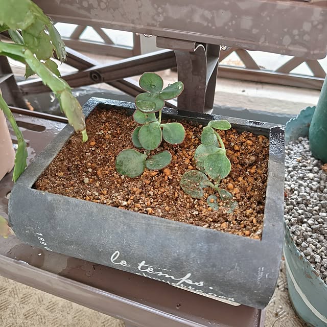 mariaさんの部屋