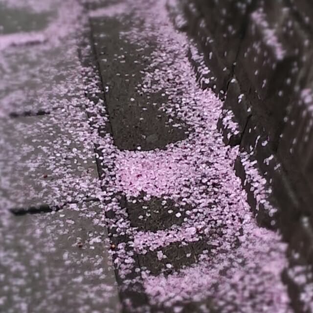 tibiさんの実例写真