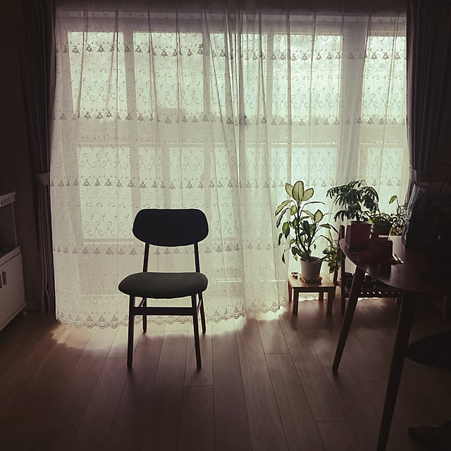 cyfilmgoerさんの実例写真
