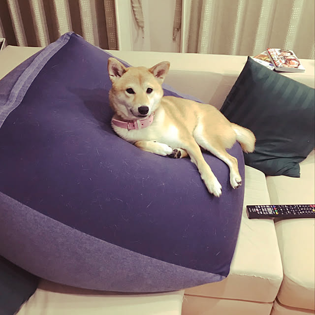 NRHさんの実例写真