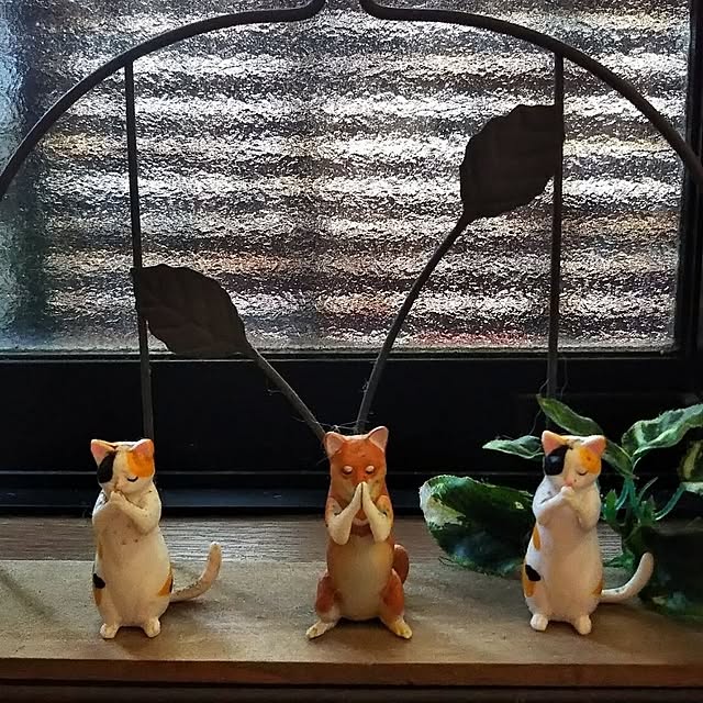 Tirorinさんの実例写真