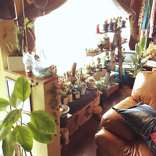 Masahideさんの実例写真