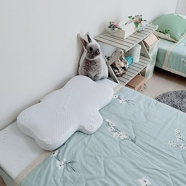 PAOさんの部屋