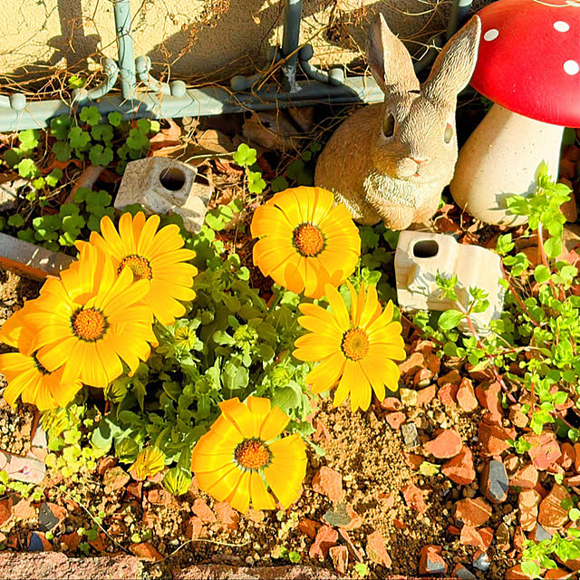 tocchiさんの実例写真