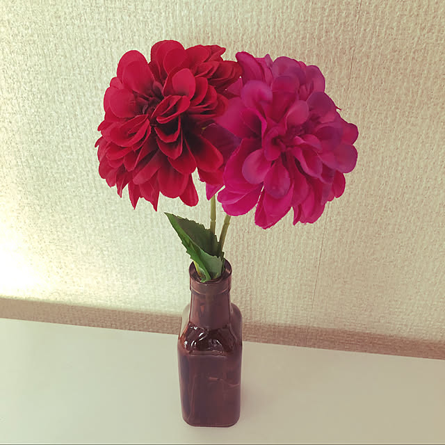 rukuさんの実例写真