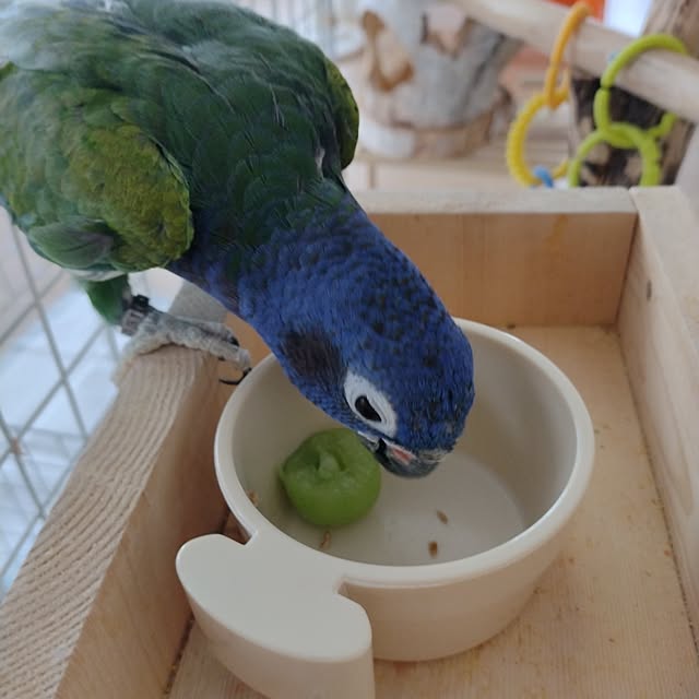 bonoさんの実例写真