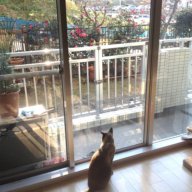 dodoさんの実例写真