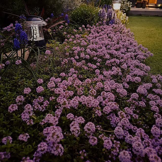 coconathuさんの実例写真