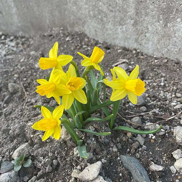 openaim2さんの実例写真