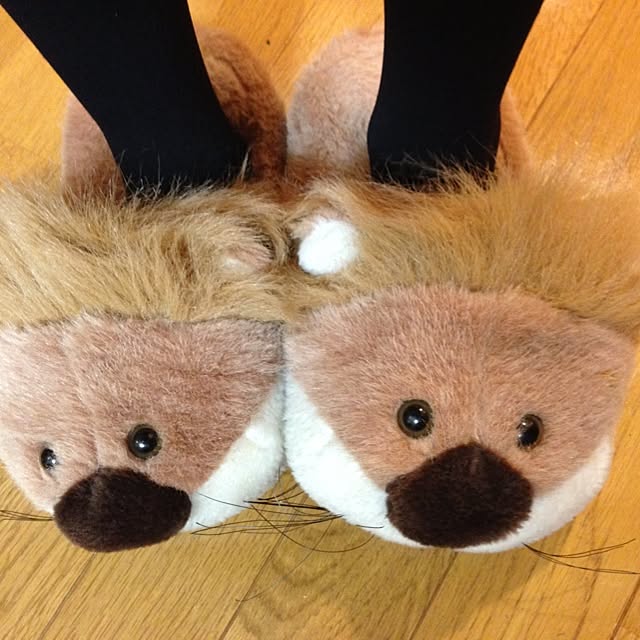 amiさんの実例写真