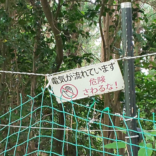 YUKOさんの実例写真