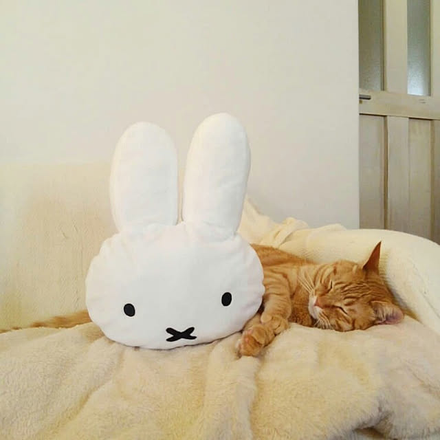 mayutan.さんの実例写真