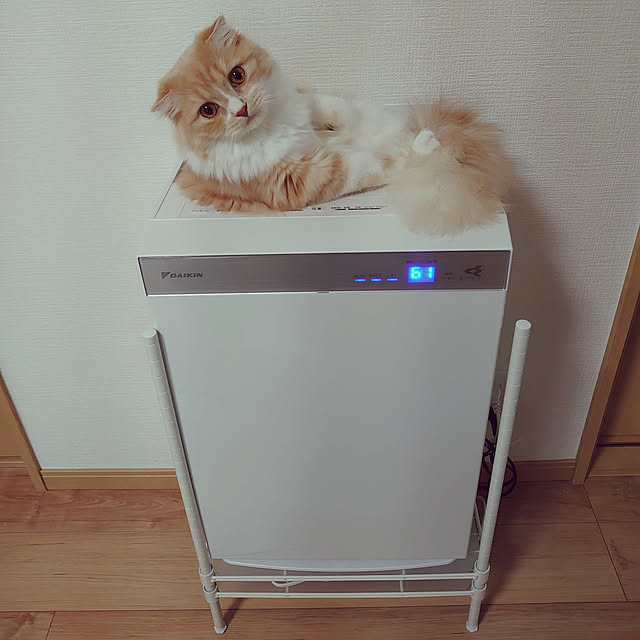 akkiiiさんの実例写真