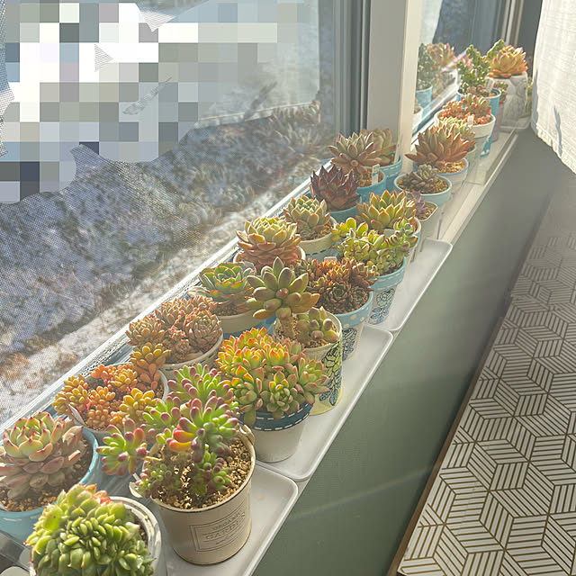 unichanさんの部屋