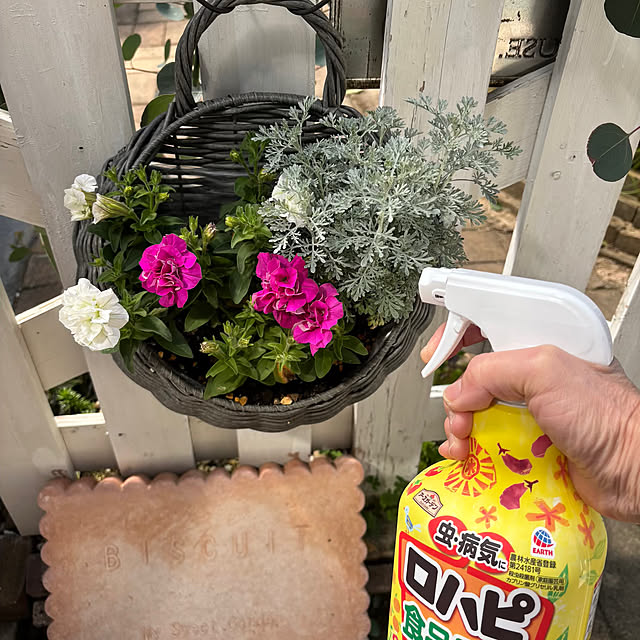 momocchiさんの部屋