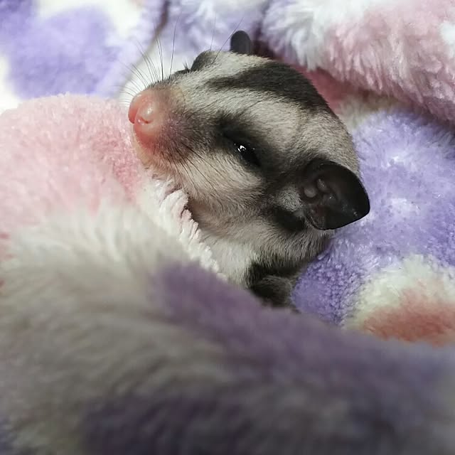 KOHAKUさんの実例写真