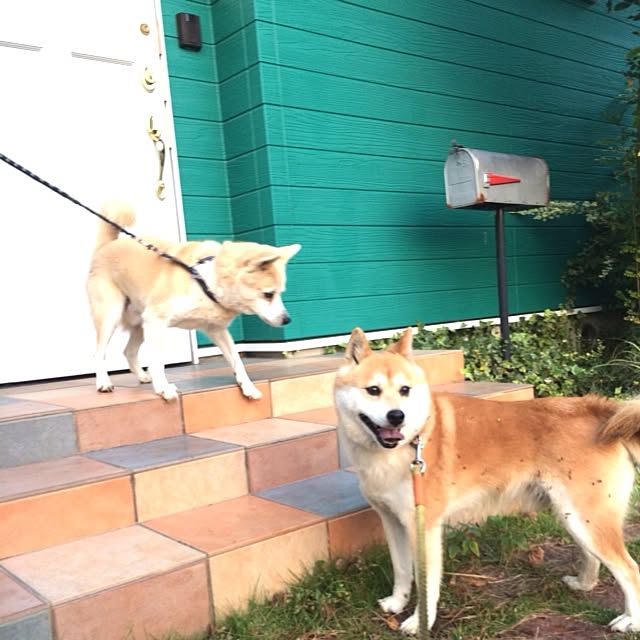 kina4さんの実例写真