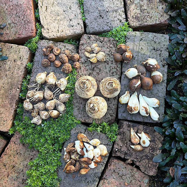 kyoko1124koさんの部屋