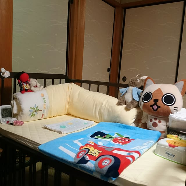 Mizubasyoさんの実例写真