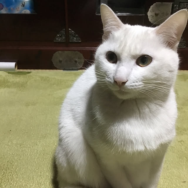 marinnさんの実例写真